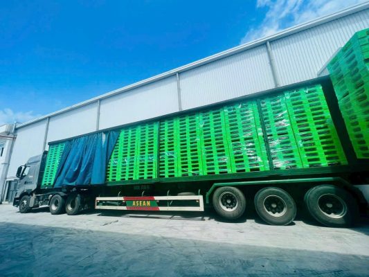 pallet-nhua-va-pallet-go