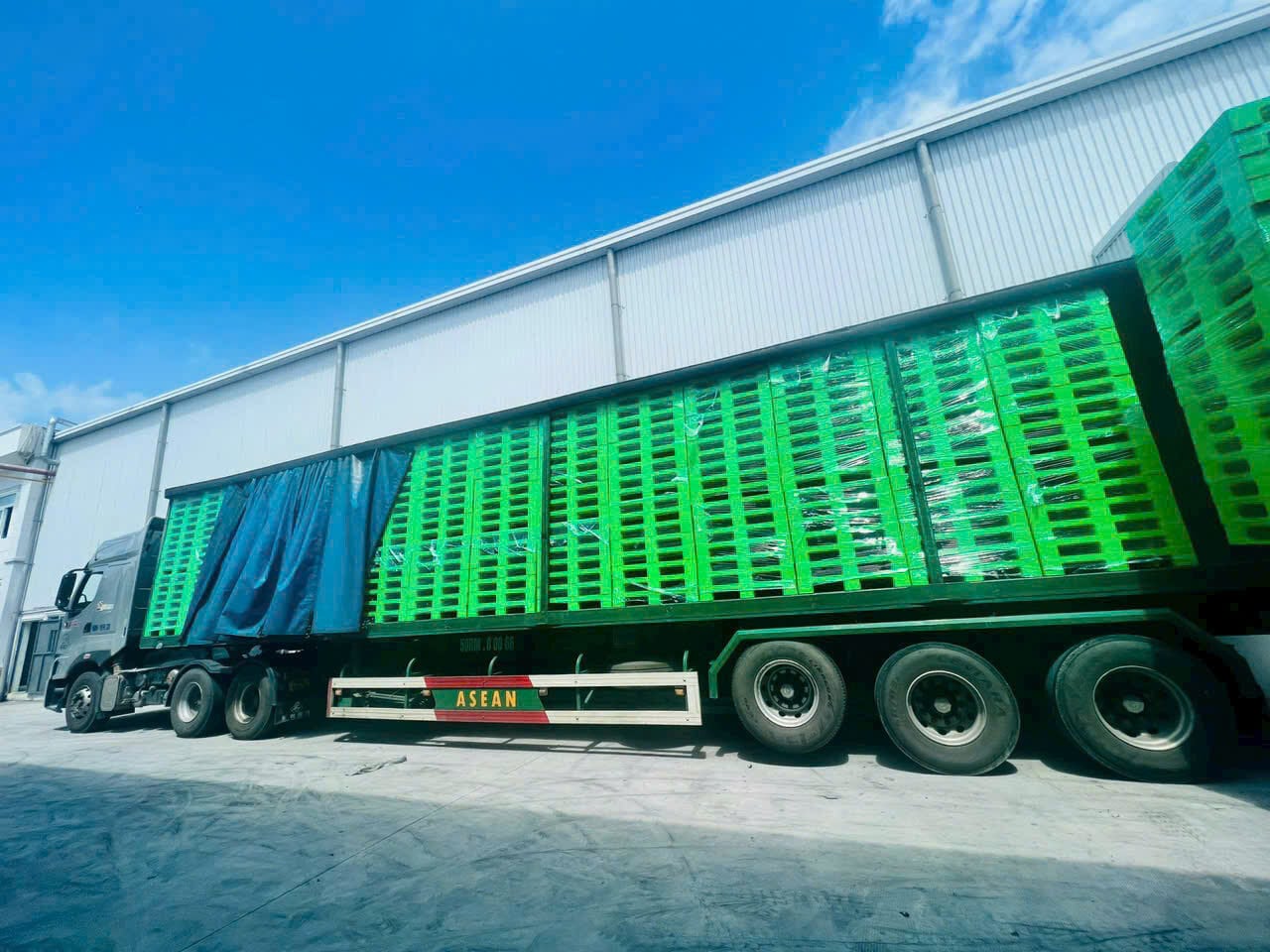 pallet-nhua-va-pallet-go